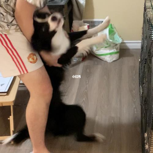 20221107103742_83425 20221107103742_83425