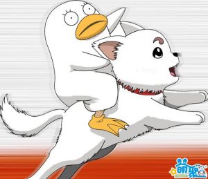 贵族狗粮怎么样啊(贵族贝贝乖狗粮怎么样)-警犬训练器材厂家 _警犬训练用品_工作犬训练用品-南京开久警犬装备