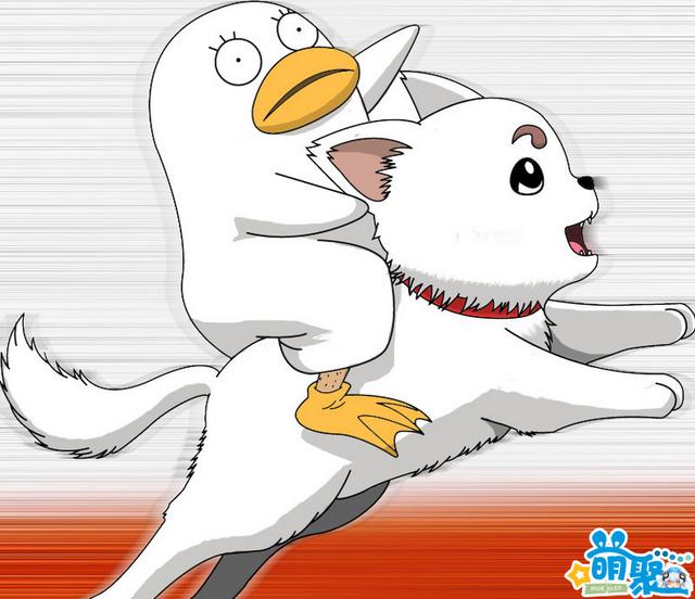 贵族狗粮怎么样啊(贵族贝贝乖狗粮怎么样) - 警犬训练器材厂家 _警犬训练用品_工作犬训练用品-南京开久警犬装备-警犬训练器材厂家 _警犬训练用品_工作犬训练用品-南京开久警犬装备