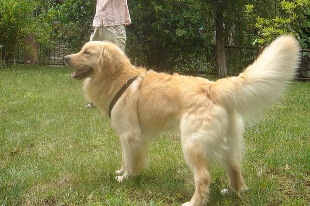 20221107105322_28399 20221107105322_28399