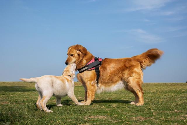 20221107105323_44498 20221107105323_44498