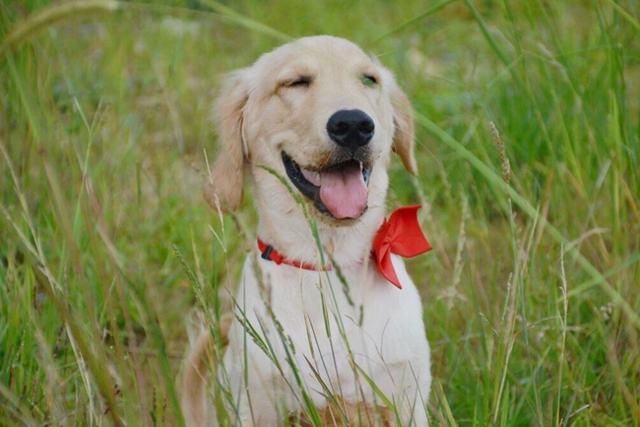 20221107105323_87988 20221107105323_87988