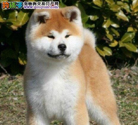 20221107105413_68867 20221107105413_68867