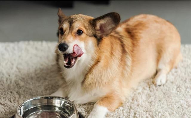 20221107110431_46482