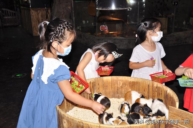 20221107112231_45040