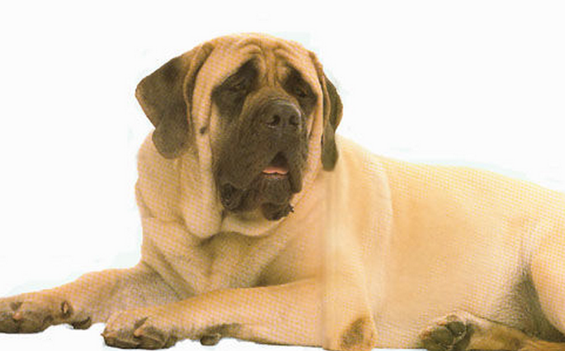 20221107113202_62110 20221107113202_62110