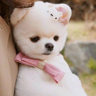 20221107113356_57572 20221107113356_57572