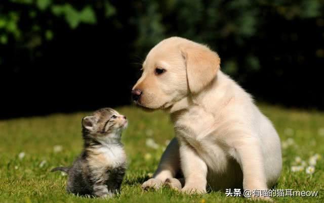 20221107113627_68321