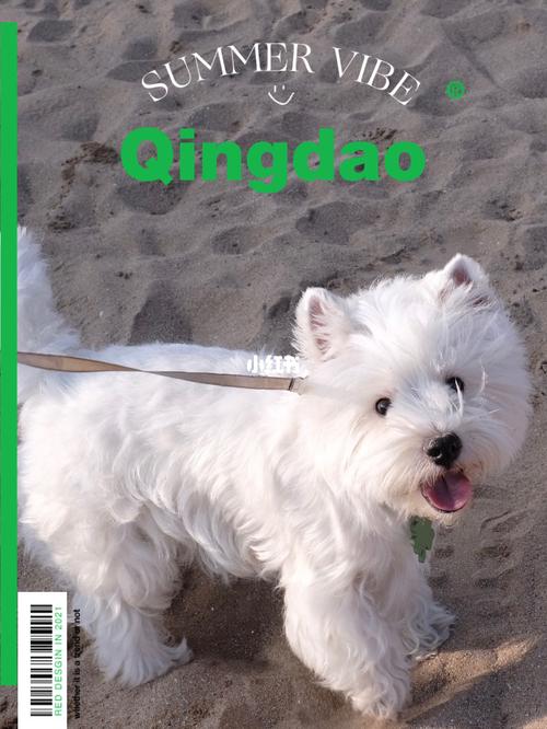 20221107113900_81908 20221107113900_81908