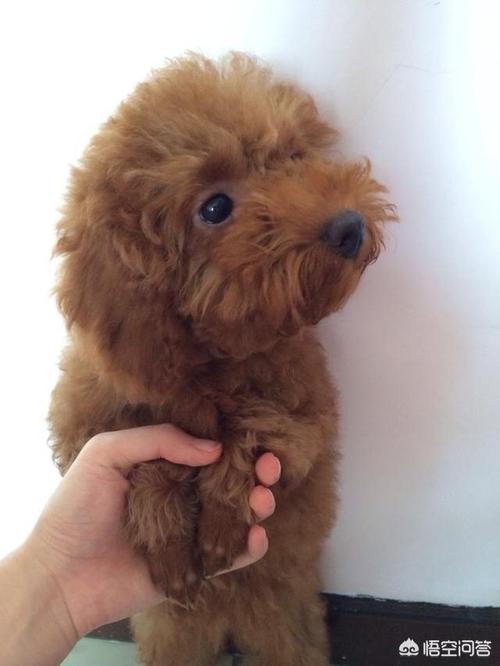 20221107115909_53819 20221107115909_53819