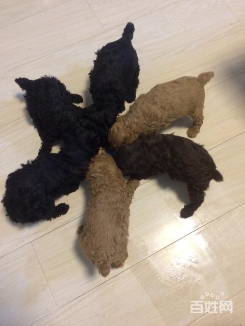 20221107115910_86378 20221107115910_86378