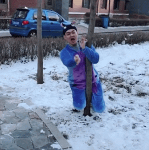 泰迪遛狗时跟别人跑-警犬训练器材厂家 _警犬训练用品_工作犬训练用品-南京开久警犬装备