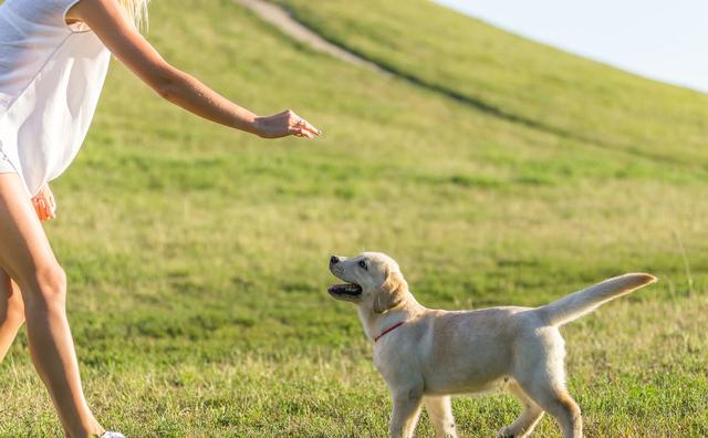 20221107123845_75573 20221107123845_75573