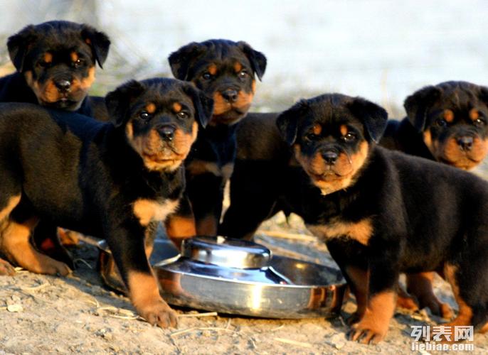 20221107124626_17676 20221107124626_17676