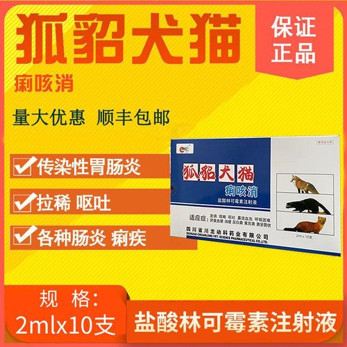 20221107132306_58644