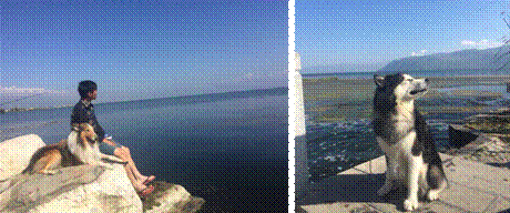 20221107134437_96064