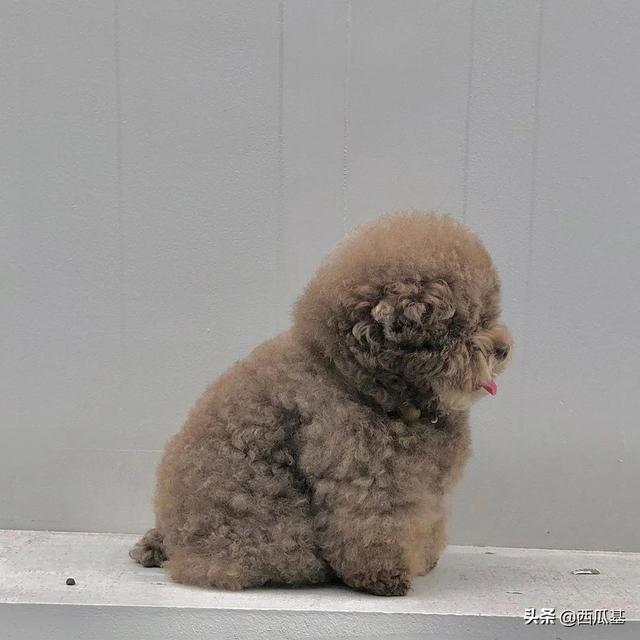 20221107140537_13804