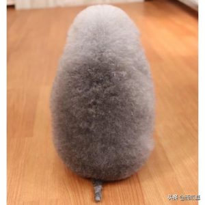 贵宾犬造型 *** (贵宾犬造型 *** 大全 灰色)-警犬训练器材厂家 _警犬训练用品_工作犬训练用品-南京开久警犬装备