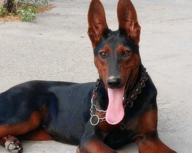 20221107142332_16156