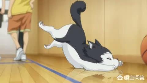 20221107150439_41447