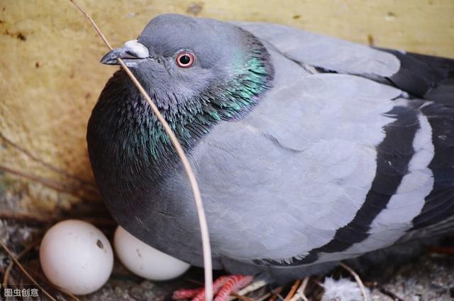 20221107151942_38811 20221107151942_38811