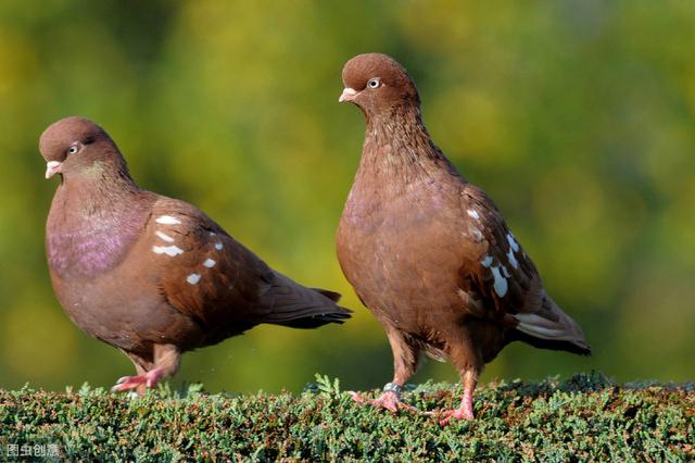 20221107151942_45042 20221107151942_45042