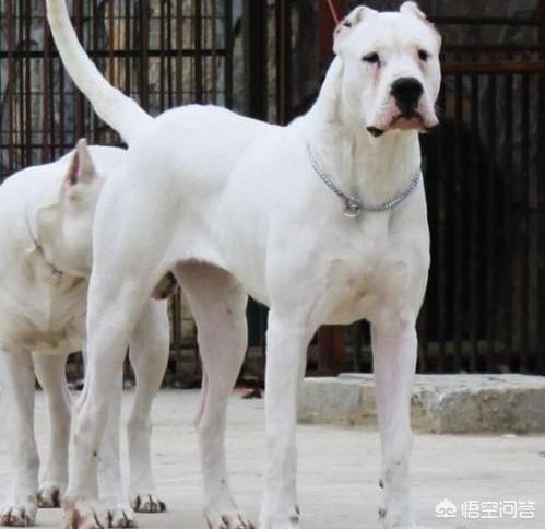 20221107152147_55289