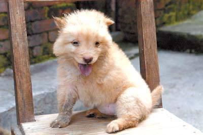 20221107155117_16890