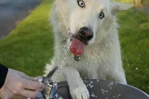 20221107155142_66042