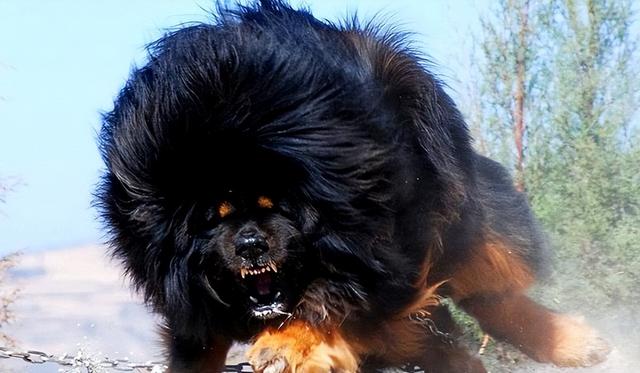 20221107155207_51155