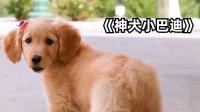 神犬巴迪系列观影顺序(神犬巴迪系列的狗狗)-警犬训练器材厂家 _警犬训练用品_工作犬训练用品-南京开久警犬装备