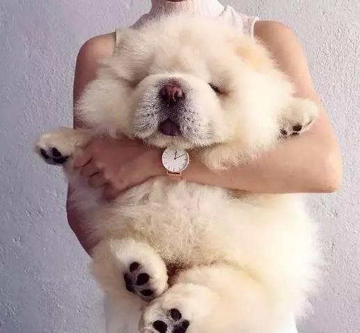 20221107160000_65055