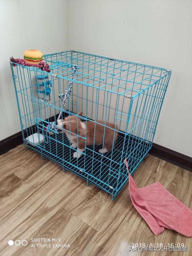 20221107160154_85279