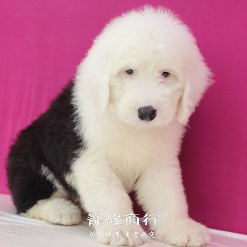 20221107160502_35047