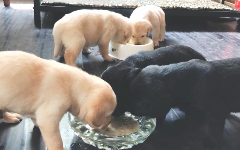 20221107162432_71769 20221107162432_71769