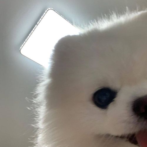 20221107162432_88760 20221107162432_88760