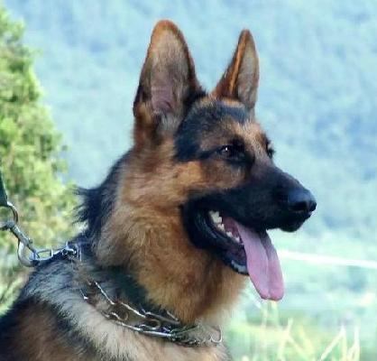 20221107163209_83304 20221107163209_83304