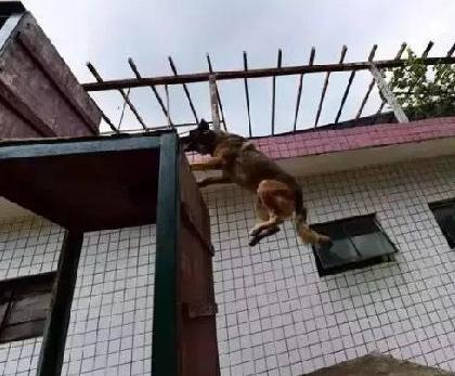 20221107163210_38218 20221107163210_38218