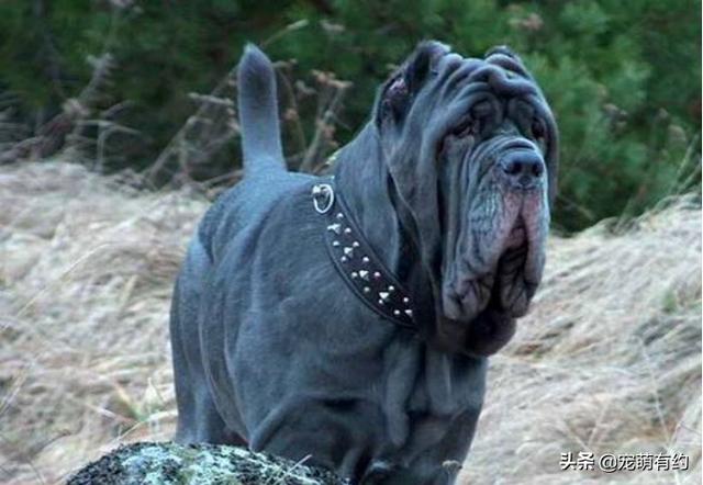 20221107163810_82392 20221107163810_82392