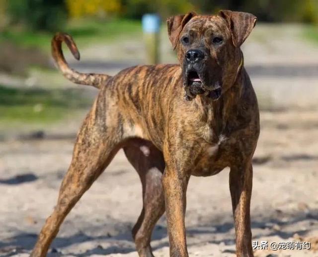 20221107163811_98656 20221107163811_98656