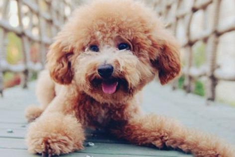 20221107163907_64742