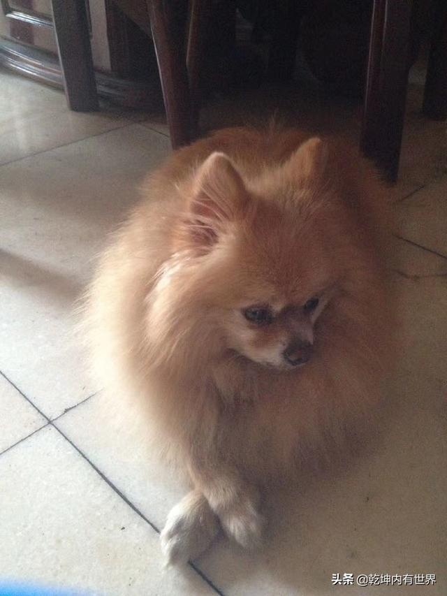 20221107164112_63880 20221107164112_63880