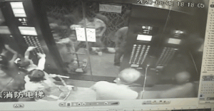 宠物犬咬伤小孩被家长摔死-警犬训练器材厂家 _警犬训练用品_工作犬训练用品-南京开久警犬装备