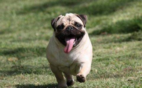 20221107170545_75800 20221107170545_75800