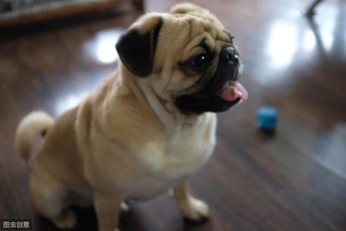 20221107170545_92251 20221107170545_92251