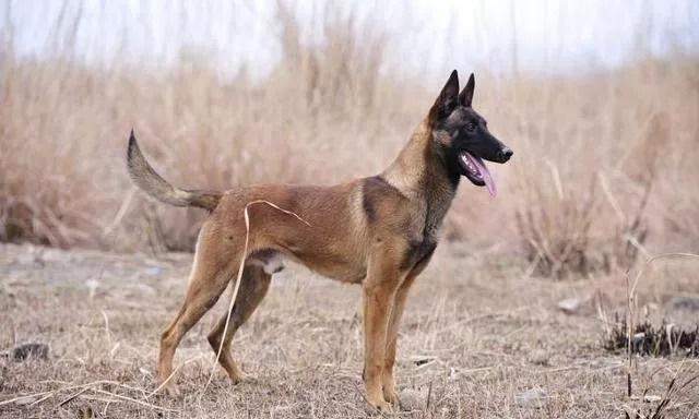 20221107172600_12679