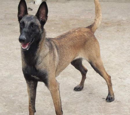 20221107172601_24259