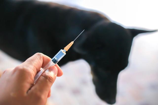 20221107173132_78392 20221107173132_78392