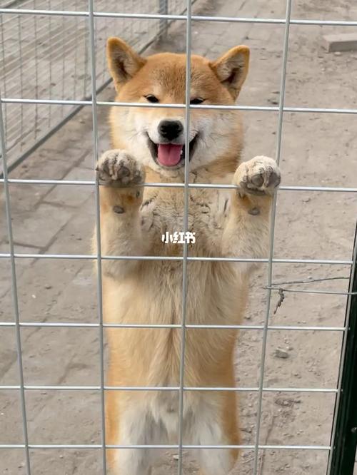 20221107173216_28653 20221107173216_28653