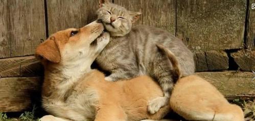 20221107173216_45698 20221107173216_45698